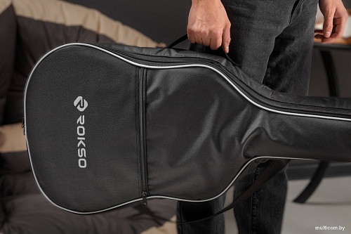 Чехол для гитары ROKSO р.38