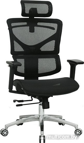 Кресло Evolution ERGO Mesh (черный)