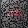 SSD Apacer Panther AS350 512GB AP512GAS350