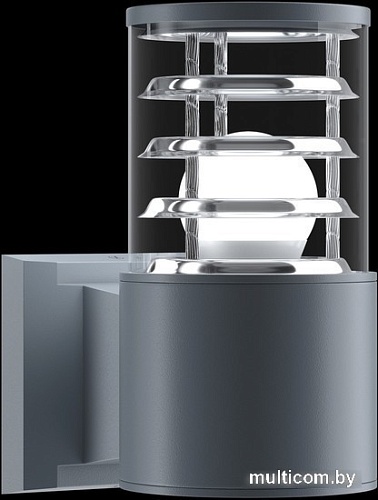 Уличный настенный светильник Maytoni Bronx O576WL-01GR