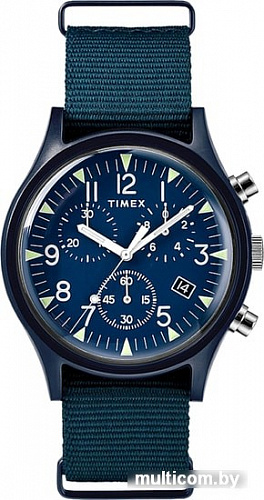 Наручные часы Timex TW2R67600