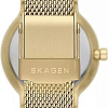 Наручные часы Skagen SKW3110