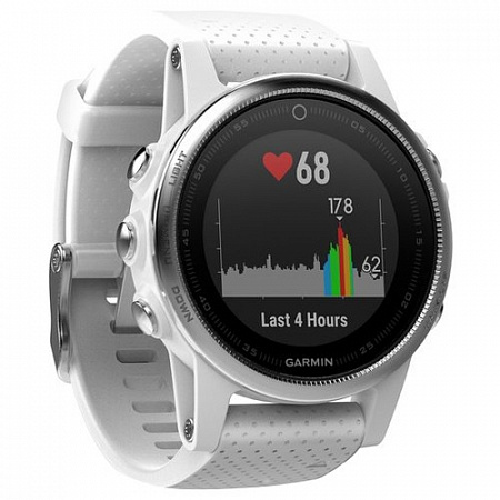 Умные часы Garmin Garmin Fenix 5S (silicone)