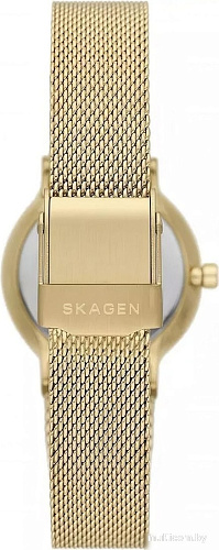 Наручные часы Skagen SKW3110