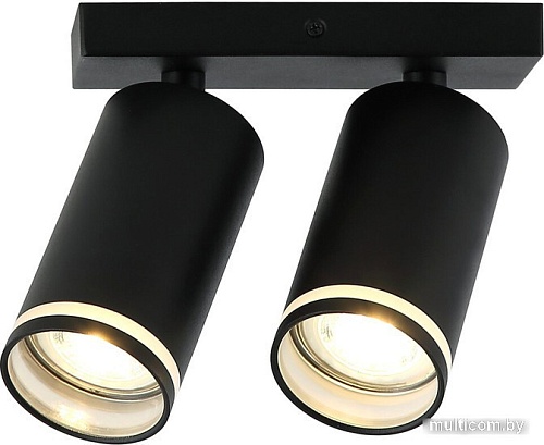 Спот Imex IL.0005.2001-2 BK