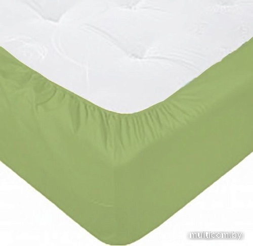 Постельное белье Luxsonia Поплин на резинке 80x200 Мр0040-24 (эвкалипт)