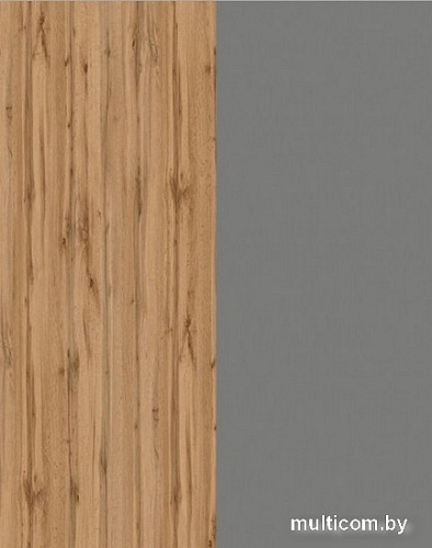 Готовая кухня ЭлиГард Lion 1.2 (дуб натуральный/дымчатый алмаз/дуб бунратти)