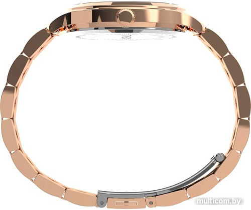 Наручные часы Timex TW2V06300
