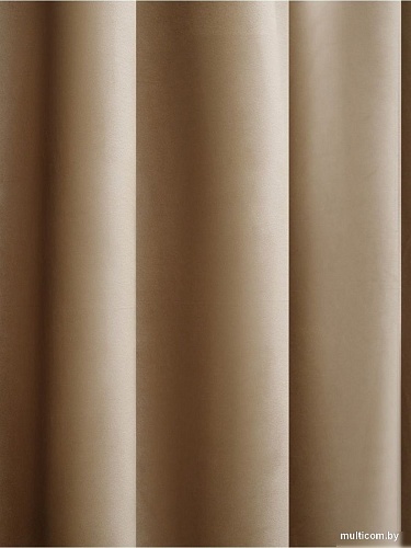 Комплект штор Soft Lines Бархат 9138-D2 (270x240, кофейный)