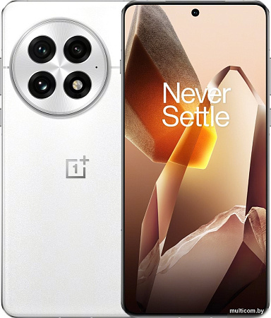 Смартфон OnePlus 13 24GB/1TB китайская версия (белый)