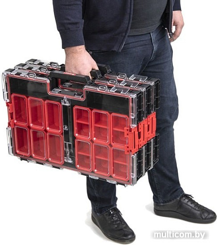 Органайзер Qbrick System One Organizer L