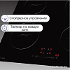 Варочная панель Zigmund &amp; Shtain CI 30.6 B