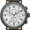 Наручные часы Timex TW2T69000