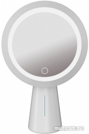 Косметическое зеркало Platinet PMLY19