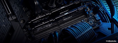 Kingston FURY Beast 2x8ГБ DDR5 6000 МГц KF560C30BBEK2-16