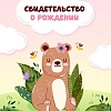 Папка адресная OfficeSpace Свидетельство о рождении. Медвежонок. Для девочек 344964