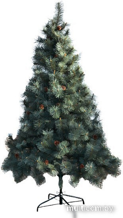 Сосна Merry Bear Келли 1.5 м