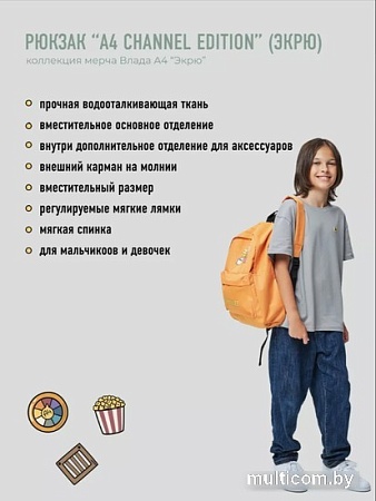 Школьный рюкзак Sled Влад А4 41x12x31 (оранжевый)