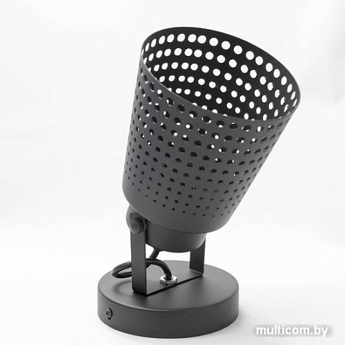 Спот Lussole LOFT GRLSP-9834