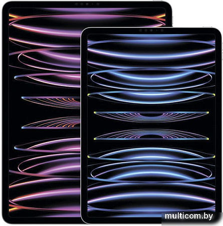 Планшет Apple iPad Pro 12.9" 2022 5G 2TB (серый космос)