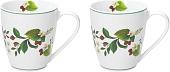 Набор кружек Andrea Fontebasso Atollo Sweet Berry AJ085452496 (2 шт)