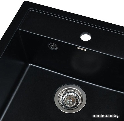 Кухонная мойка Wisent 510-26W (с сифоном GER013)