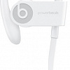 Наушники Beats Powerbeats3 Wireless [ML8W2]