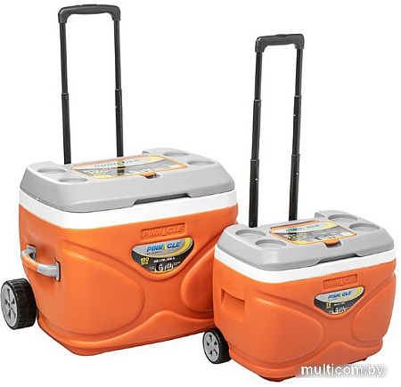 Термобокс Pinnacle TPX-8006 O-N2 (2 шт)