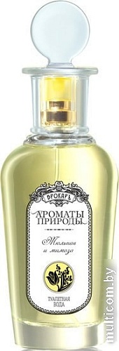Brocard Ароматы Природы Тюльпан и мимоза EdT (100 мл)