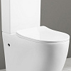 Унитаз напольный Cerutti Spa Orlter CT9867