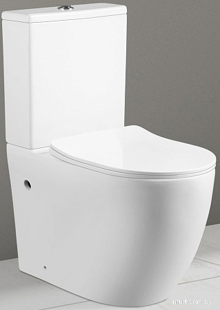 Унитаз напольный Cerutti Spa Orlter CT9867
