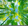 Телевизор LG 55UQ80001LA