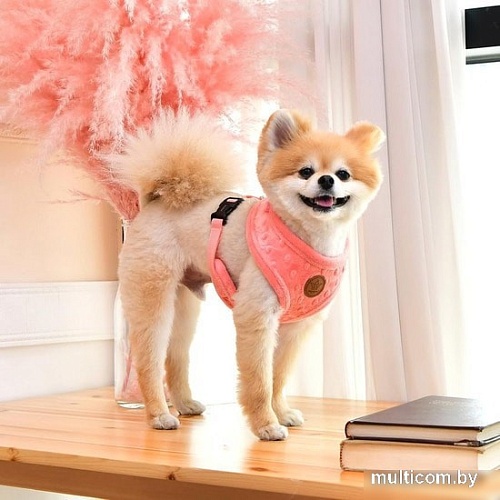 Шлейка Pinkaholic Polina NASD-HA7506-HP-S (розовый)