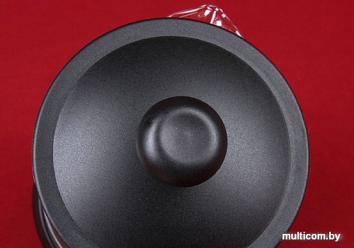 Заварочный чайник Rosenberg RPG-660016-XL