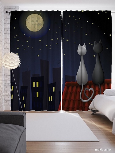 JoyArty Кошачья романтика на крыше p_1182