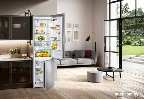 Холодильник Liebherr CNPef 4813