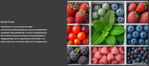 Однокамерный холодильник TECHNO DF1-20N