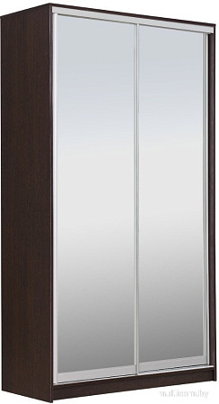 Шкаф-купе Рэйгрупп 138450 VVX Elgon РГ-11.04 (венге/венге/хром)