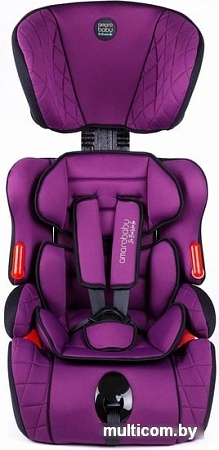 Детское автокресло Amarobaby Big trip AB212006BTF/22 (фиолетовый)
