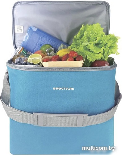 Термосумка BIOSTAL Кантри TCD-B 30л (лазурный)