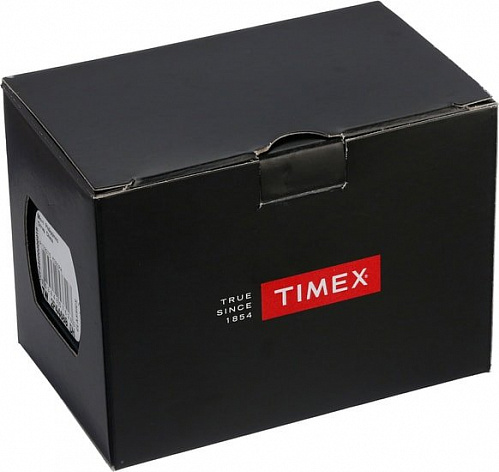 Наручные часы Timex TW2T35100