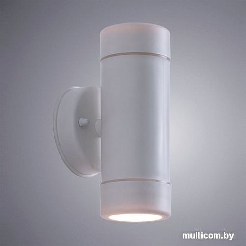Уличный настенный светильник Arte Lamp Atlas A3503AL-2WH