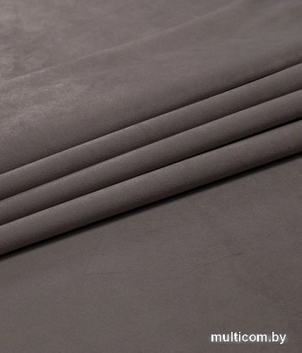 Штора Legrand Велюр 2x2.6 м 58118332 (серый)