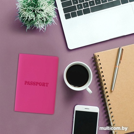 Обложка для паспорта Staff Паспорт 237605