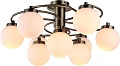 Припотолочная люстра Arte Lamp Cloud A8170PL-9AB