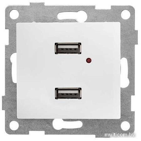 Розетка USB Gusi Electric Bravo С10USB2-001