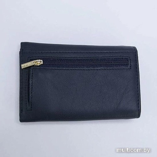 Кошелек Poshete 827-VN80036M-BLU (синий)