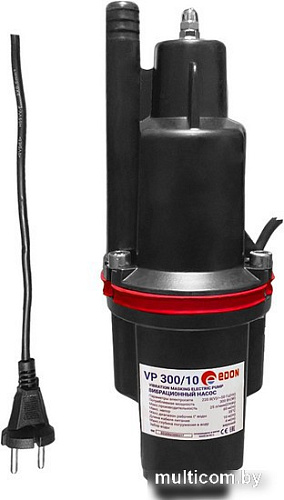 Садовый насос Edon VP 300/10