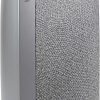 Часы JBL Horizon 2 FM (серый)