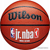 Баскетбольный мяч Wilson JR.NBA Fam Logo Indoor Outdoor WZ2009801XB7 (размер 7)